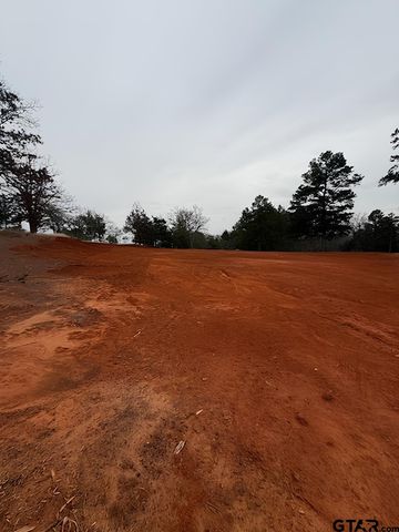10433 County Road 1111, Tyler, TX 75704