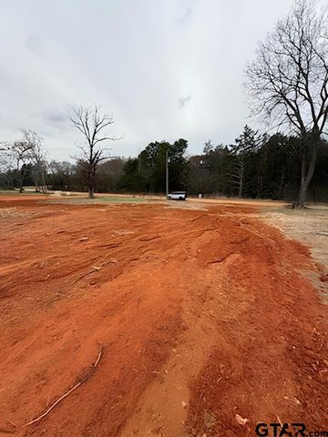 10433 County Road 1111, Tyler, TX 75704