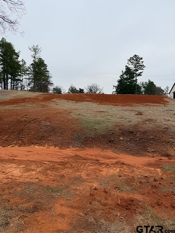 10433 County Road 1111, Tyler, TX 75704
