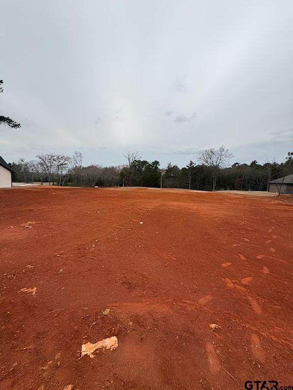 10433 County Road 1111, Tyler, TX 75704