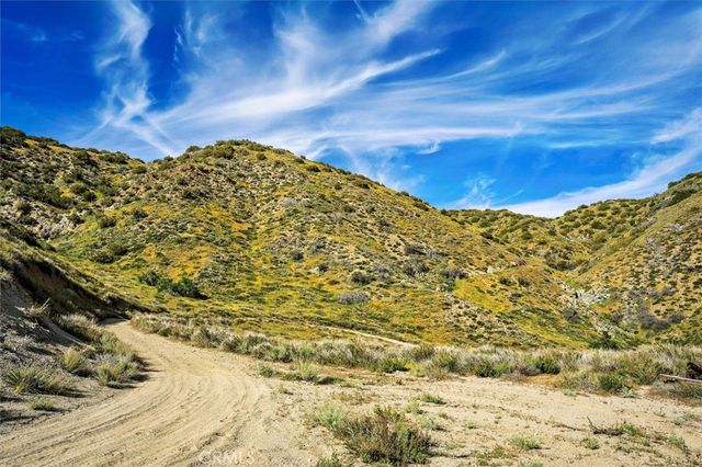 48725 Shallow Springs Road N, Leona Valley, CA 93551