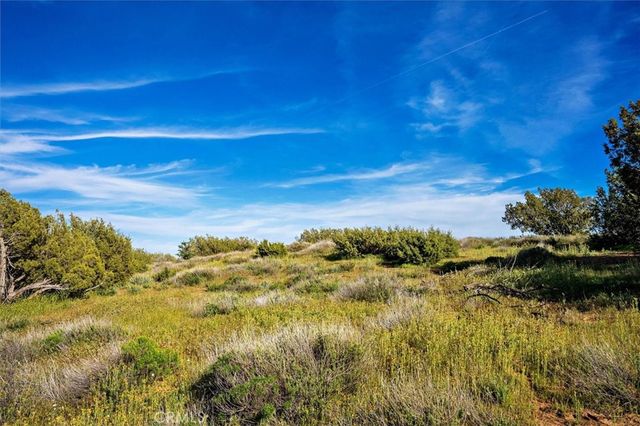 48725 Shallow Springs Road N, Leona Valley, CA 93551