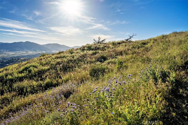 48725 Shallow Springs Road N, Leona Valley, CA 93551