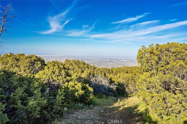 48725 Shallow Springs Road N, Leona Valley, CA 93551