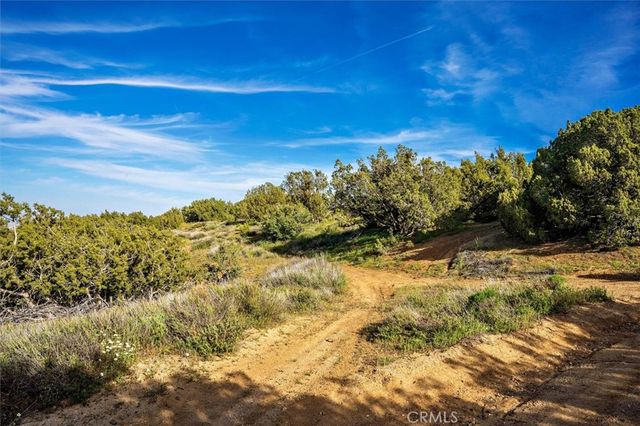 48725 Shallow Springs Road N, Leona Valley, CA 93551
