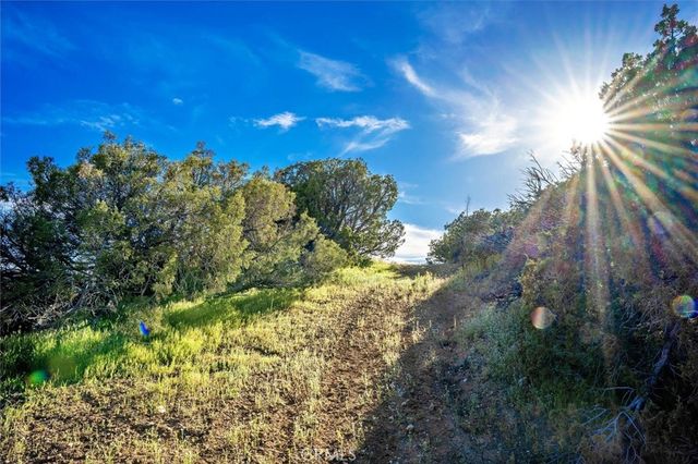 48725 Shallow Springs Road N, Leona Valley, CA 93551