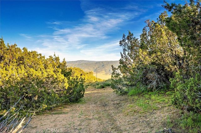 48725 Shallow Springs Road N, Leona Valley, CA 93551