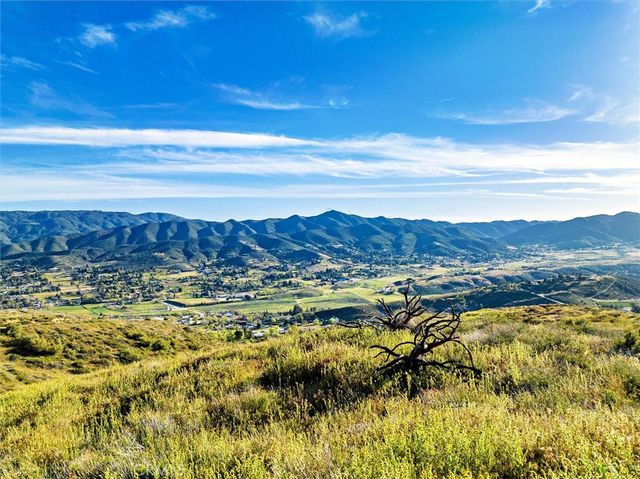 48725 Shallow Springs Road N, Leona Valley, CA 93551
