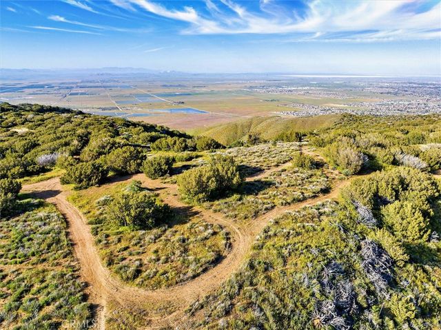 48725 Shallow Springs Road N, Leona Valley, CA 93551