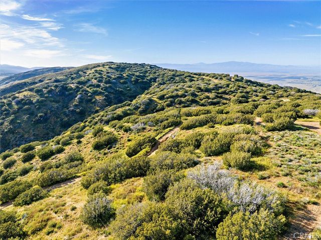 48725 Shallow Springs Road N, Leona Valley, CA 93551