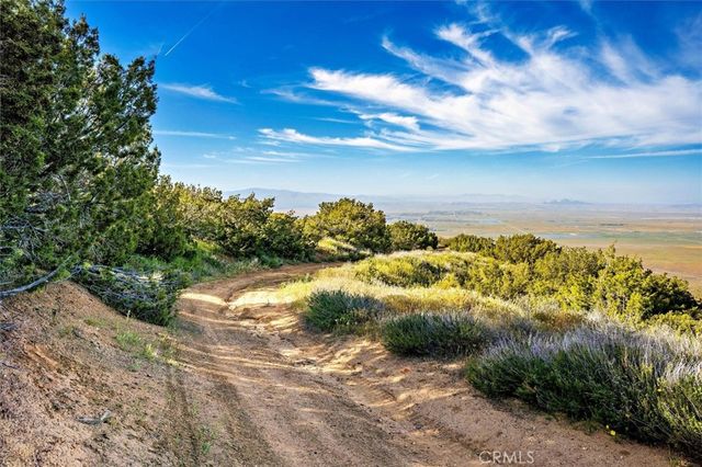 48725 Shallow Springs Road N, Leona Valley, CA 93551