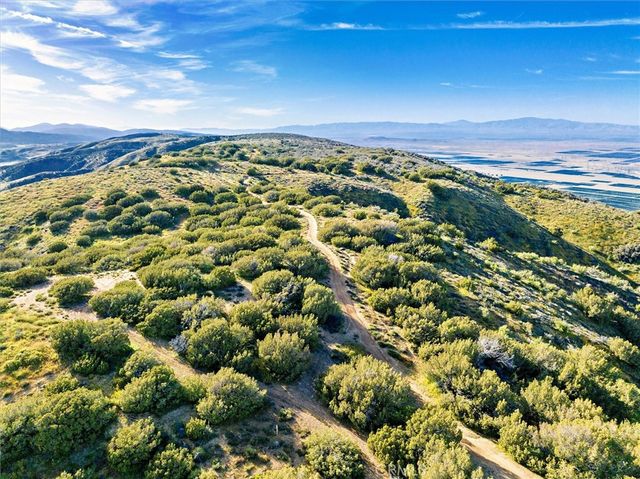 48725 Shallow Springs Road N, Leona Valley, CA 93551