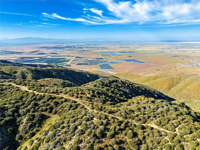 48725 Shallow Springs Road N, Leona Valley, CA 93551