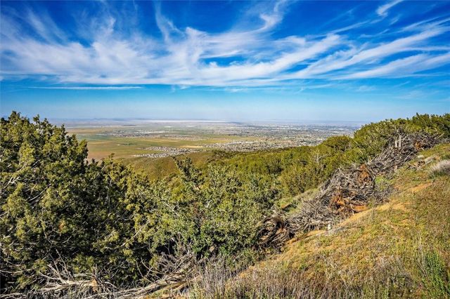 48725 Shallow Springs Road N, Leona Valley, CA 93551