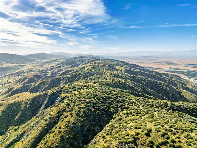 48725 Shallow Springs Road N, Leona Valley, CA 93551