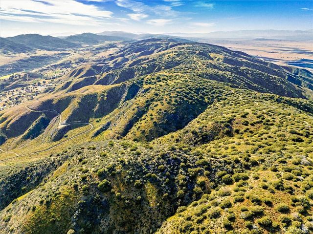 48725 Shallow Springs Road N, Leona Valley, CA 93551