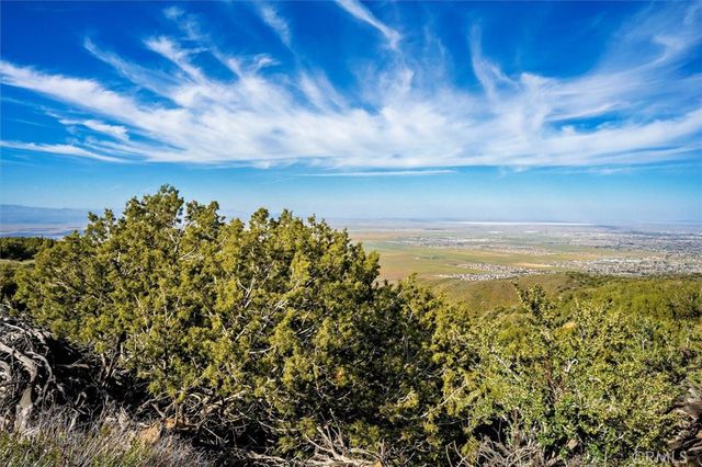 48725 Shallow Springs Road N, Leona Valley, CA 93551