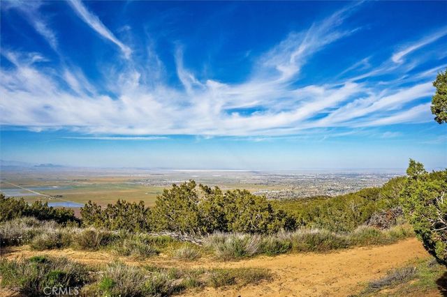 48725 Shallow Springs Road N, Leona Valley, CA 93551