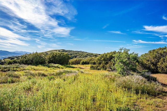 48725 Shallow Springs Road N, Leona Valley, CA 93551