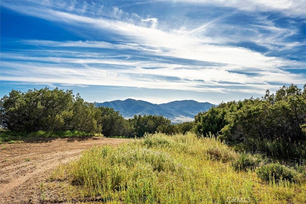 48725 Shallow Springs Road N, Leona Valley, CA 93551