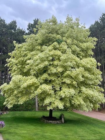 8555 15th Avenue NW, Rice, MN 56367