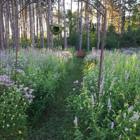 8555 15th Avenue NW, Rice, MN 56367