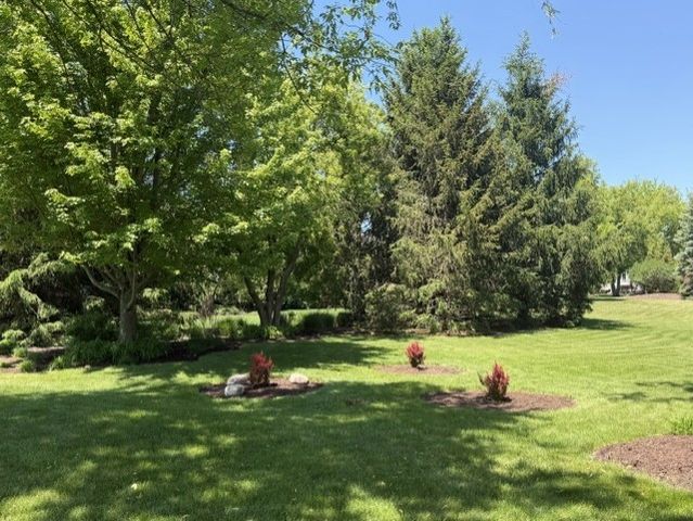 8207 Red Bark Lane, Cary, IL 60013