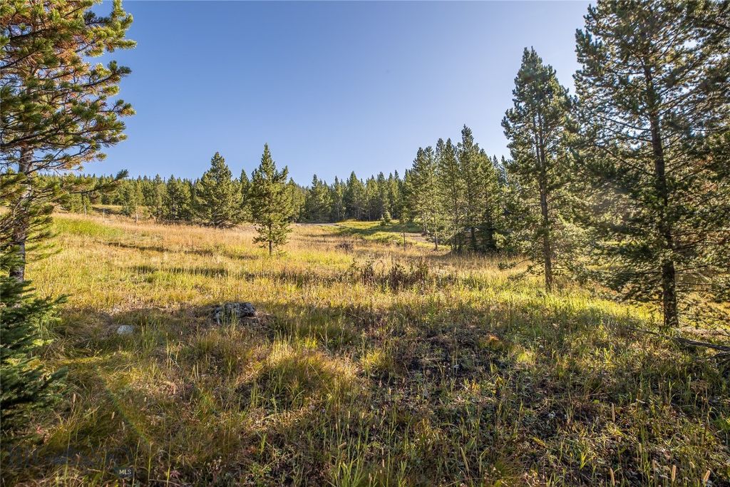 TBD White Otter Road, Lot 34, Big Sky, MT 59716 photo 38
