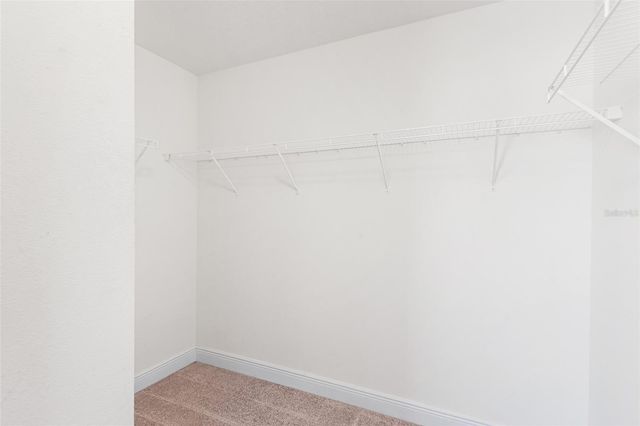 1848 OAK HAMMOCK COURT, Lutz, FL 33558