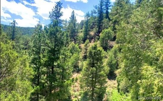 2222 Swift Claim Road, Georgetown, CO 80444