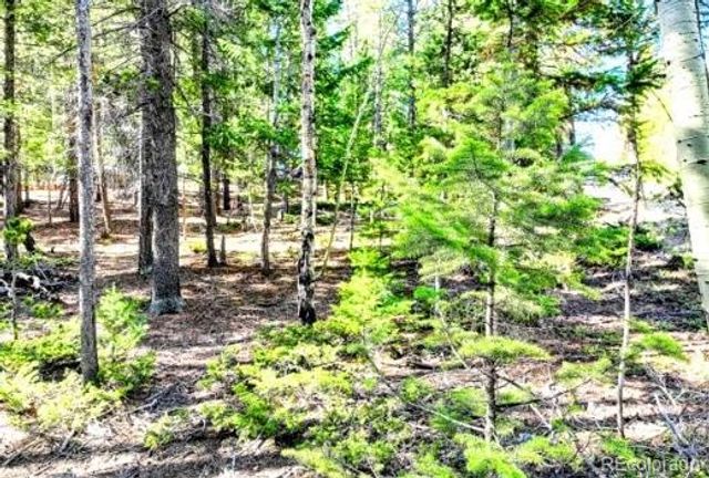 2222 Swift Claim Road, Georgetown, CO 80444