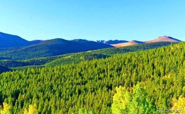2222 Swift Claim Road, Georgetown, CO 80444
