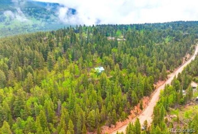 2222 Swift Claim Road, Georgetown, CO 80444