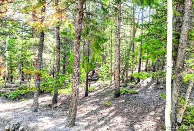 2222 Swift Claim Road, Georgetown, CO 80444
