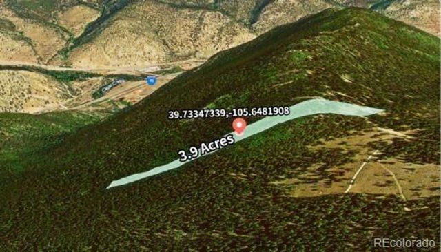 2222 Swift Claim Road, Georgetown, CO 80444