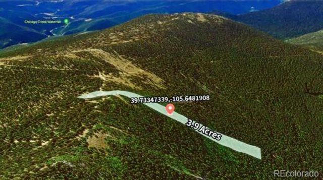 2222 Swift Claim Road, Georgetown, CO 80444