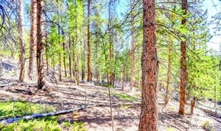 2222 Swift Claim Road, Georgetown, CO 80444