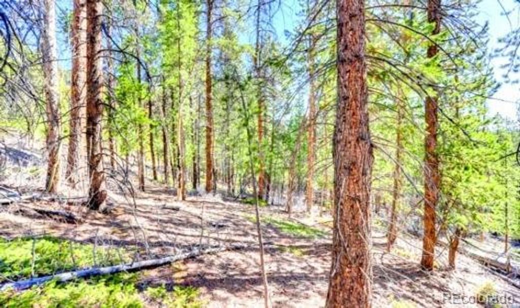 2222 Swift Claim Road, Georgetown, CO 80444