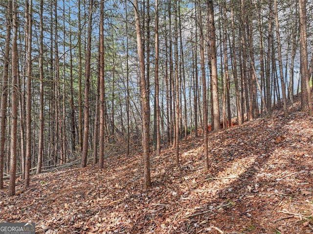 LOT 30 Crown Mountain Way, Dahlonega, GA 30533