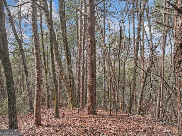 LOT 30 Crown Mountain Way, Dahlonega, GA 30533