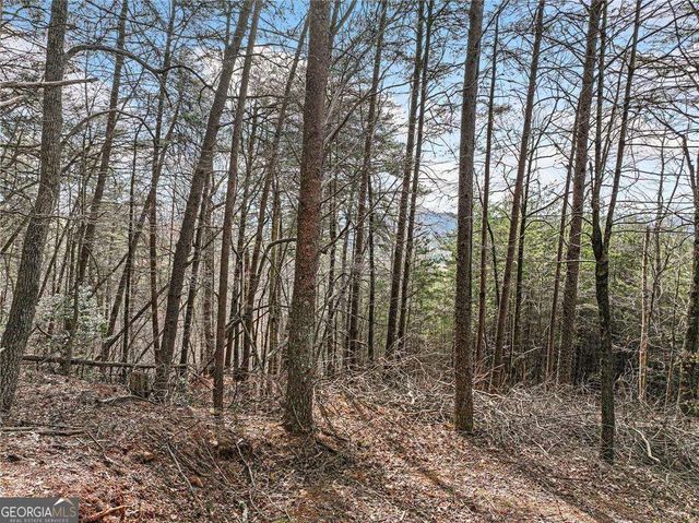 LOT 30 Crown Mountain Way, Dahlonega, GA 30533