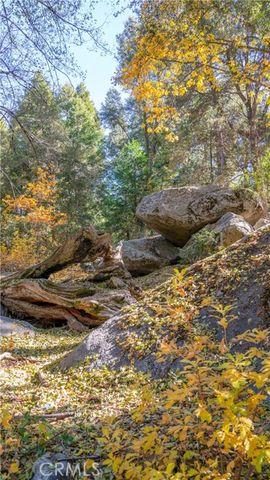 25201 Fern Valley Road, Idyllwild, CA 92549