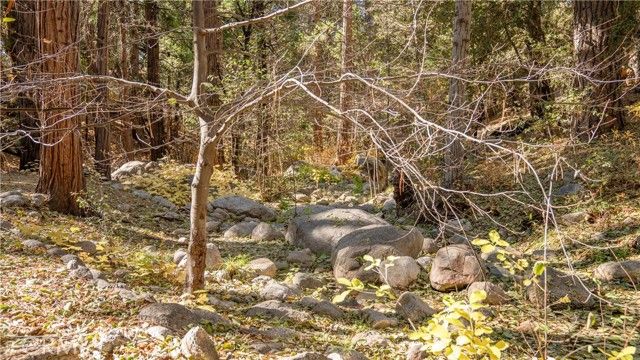 25201 Fern Valley Road, Idyllwild, CA 92549