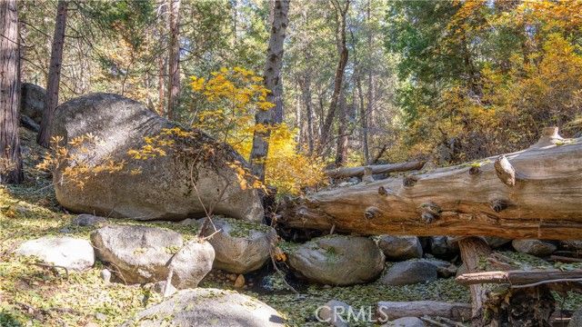 25201 Fern Valley Road, Idyllwild, CA 92549