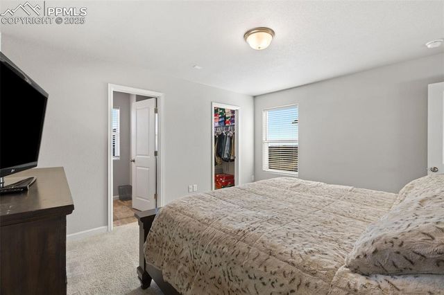 4134 Jericho Loop, Colorado Springs, CO 80916