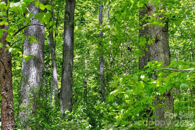 99999 Wright Road, Marion, NC 28752