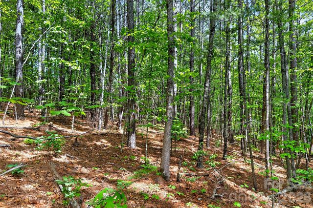 99999 Wright Road, Marion, NC 28752