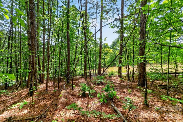 99999 Wright Road, Marion, NC 28752