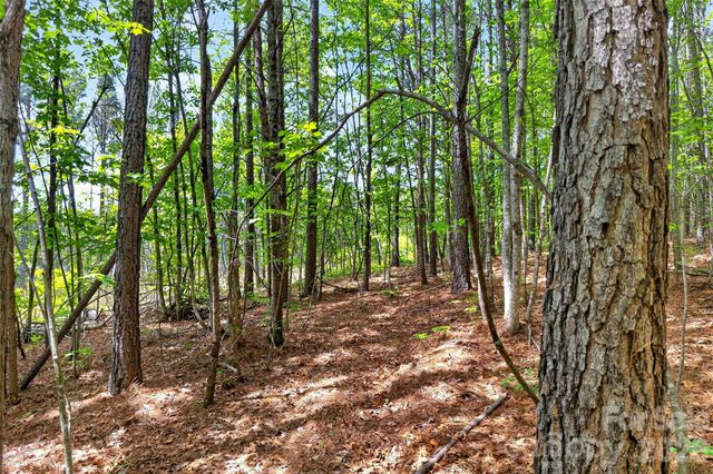 99999 Wright Road, Marion, NC 28752