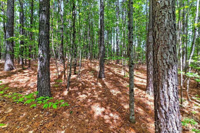 99999 Wright Road, Marion, NC 28752